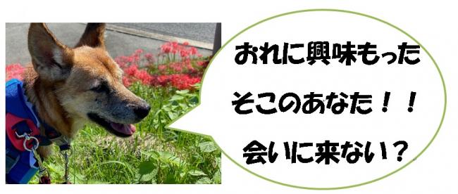 たい１０