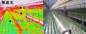 遮光無しの様子