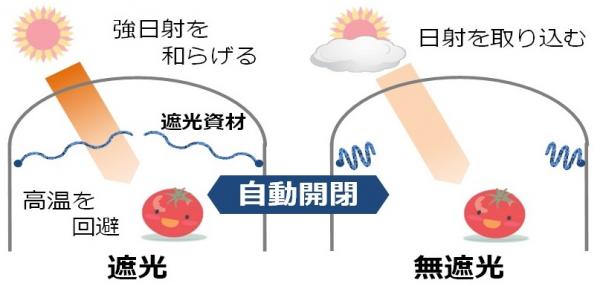 自動調光システム
