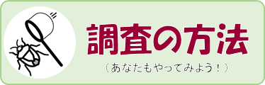 調査の方法（あなたもやってみよう！）