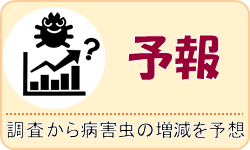 予報（調査から病害虫の増減を予想）