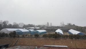 安芸津職場に雪が舞う風景