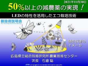 50％以上の減農薬を実現LEDの特性を活用したエコ栽培技術