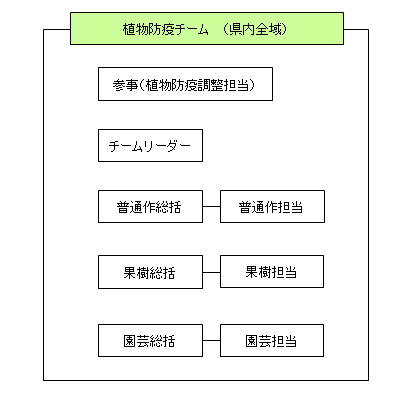 植防チーム