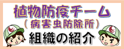 植物防疫チーム（病害虫防除所）組織の紹介