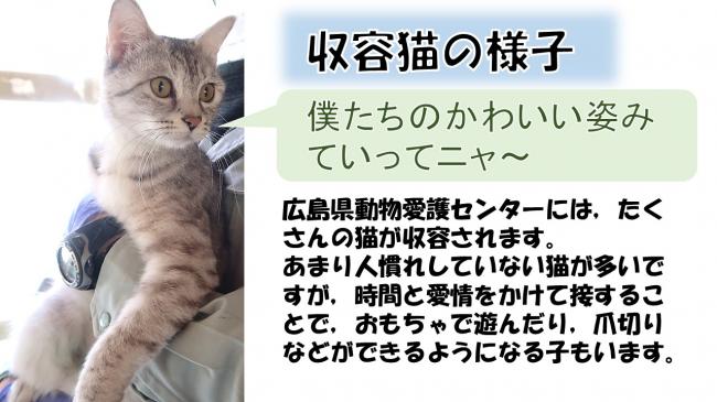 動画のトップ