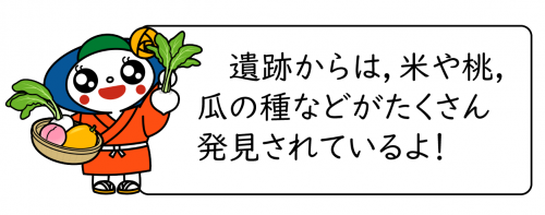 野菜売り