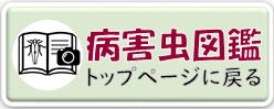 病害虫図鑑トップページへ戻る