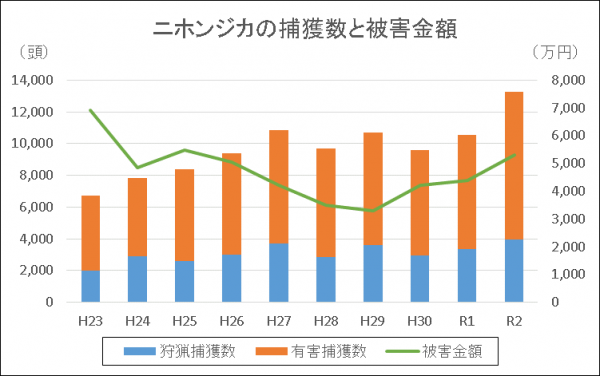 捕獲数と被害金額グラフ