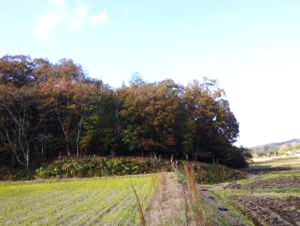 安芸高田市　里山　前