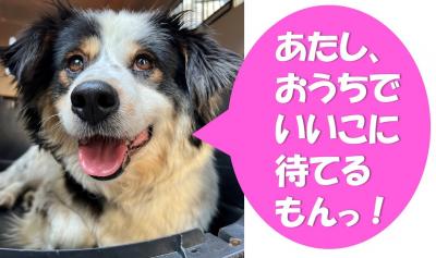かか