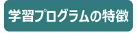 学習プログラムの特徴