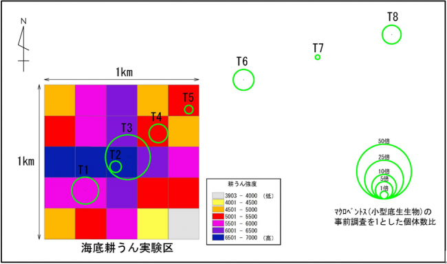 R3_4マクロベントス_6ヵ月後の個体数比