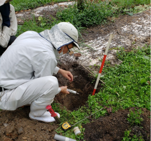 土壌硬度の調査