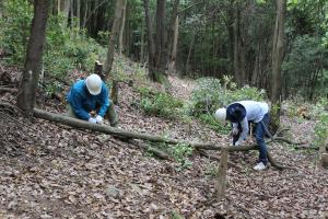 参加者による森林整備（２人がかり）