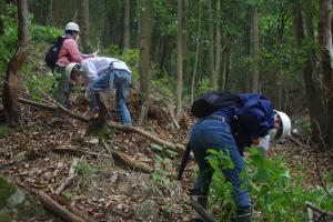 参加者による森林整備（４人がかり）