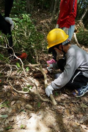 参加者による森林整備