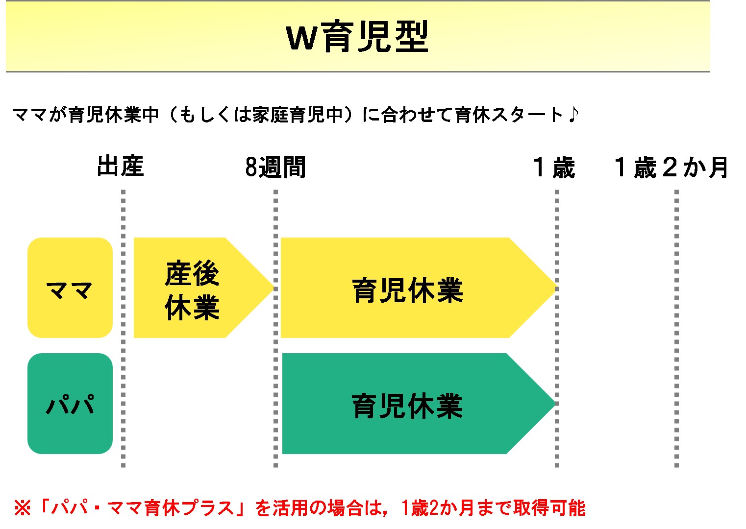 W育児型