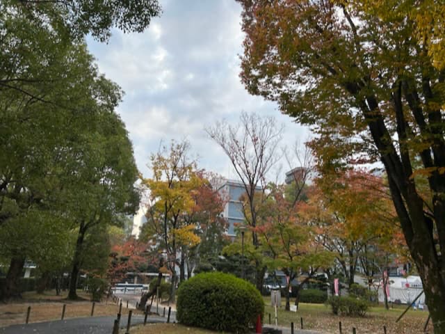 県庁内の紅葉