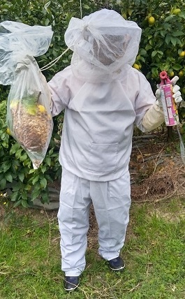 防護服と殺虫剤でスズメバチの巣を撤去