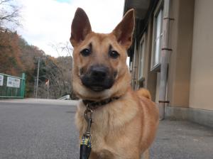 いっちゃん