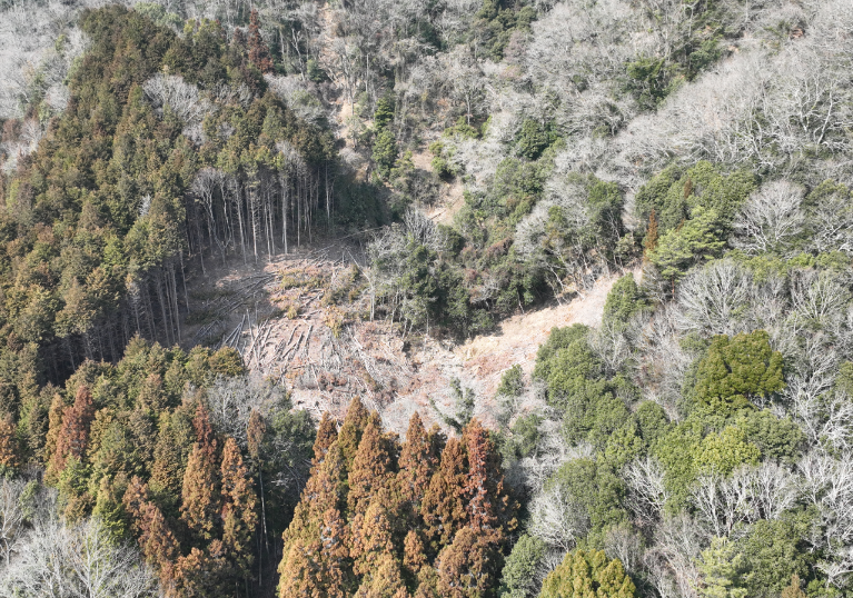 賀茂川支川41　状況写真