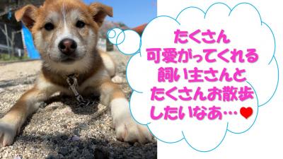 ひめ２