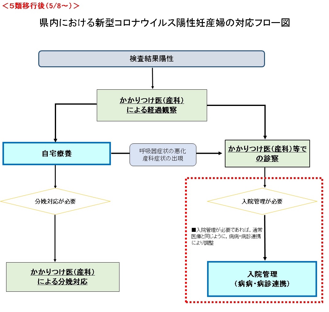 妊産婦フロー5/8～