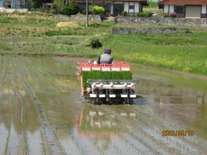 鶏ふん利用施肥体系確立実証