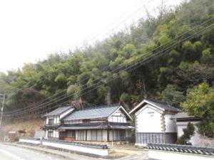 住宅裏で繁茂した竹林の様子