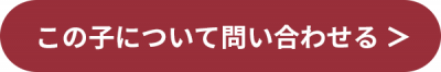 この子について問い合わせる