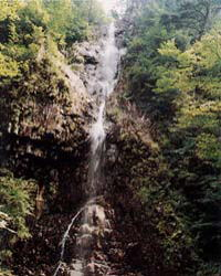 龍頭の滝の写真