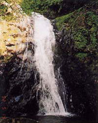 大滝の写真