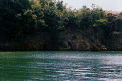 釜戸岬の海食崖の写真