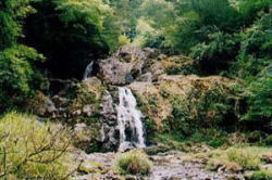 魚切滝の写真