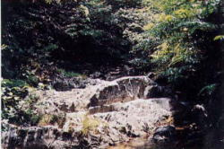 甌穴が見られる渓流の写真