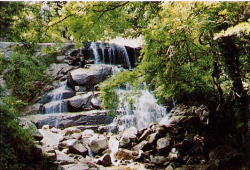 深山滝の写真