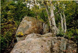 節理によって形成された巨石群の写真