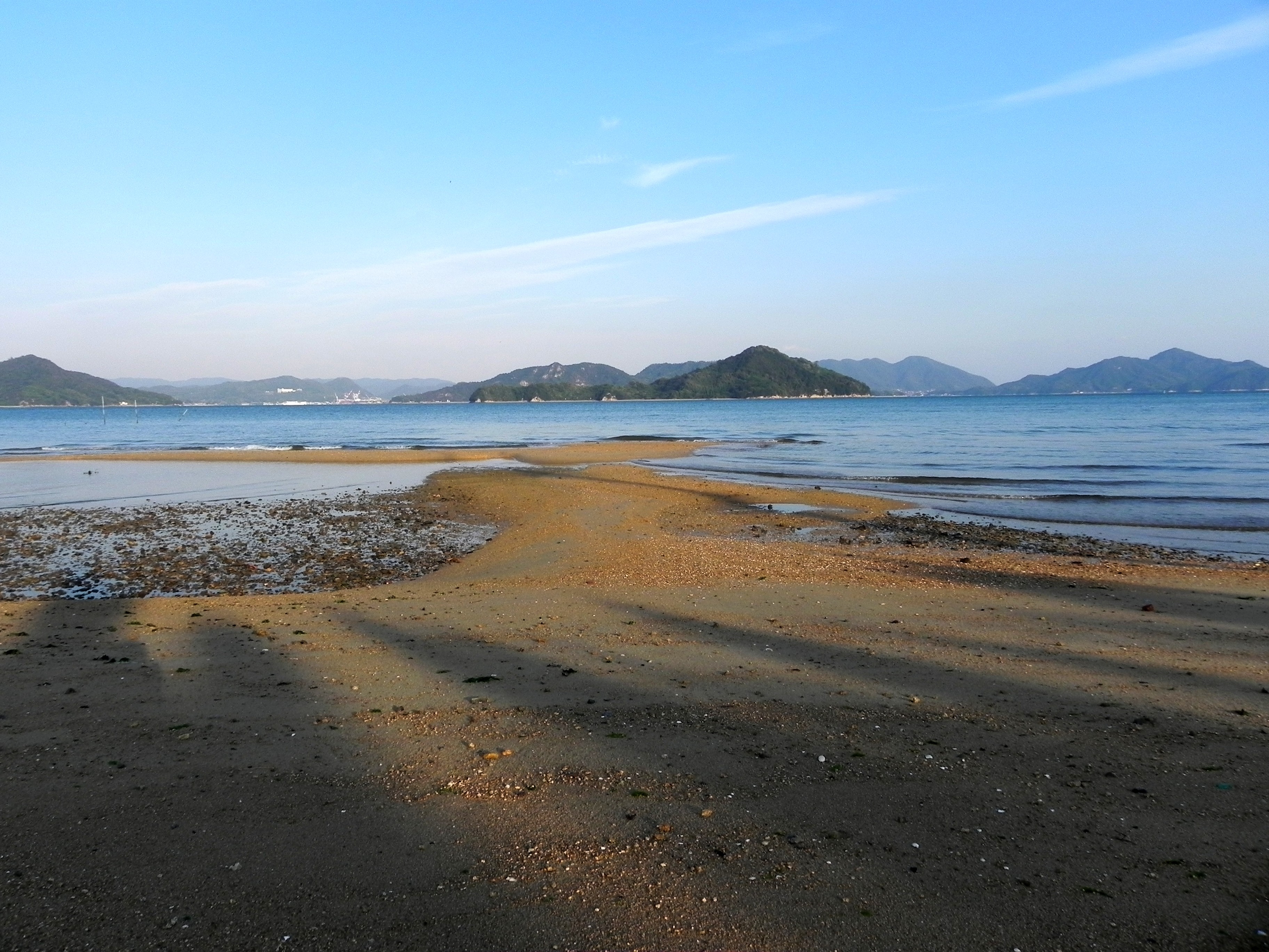 海岸から望む広大な干潟の写真