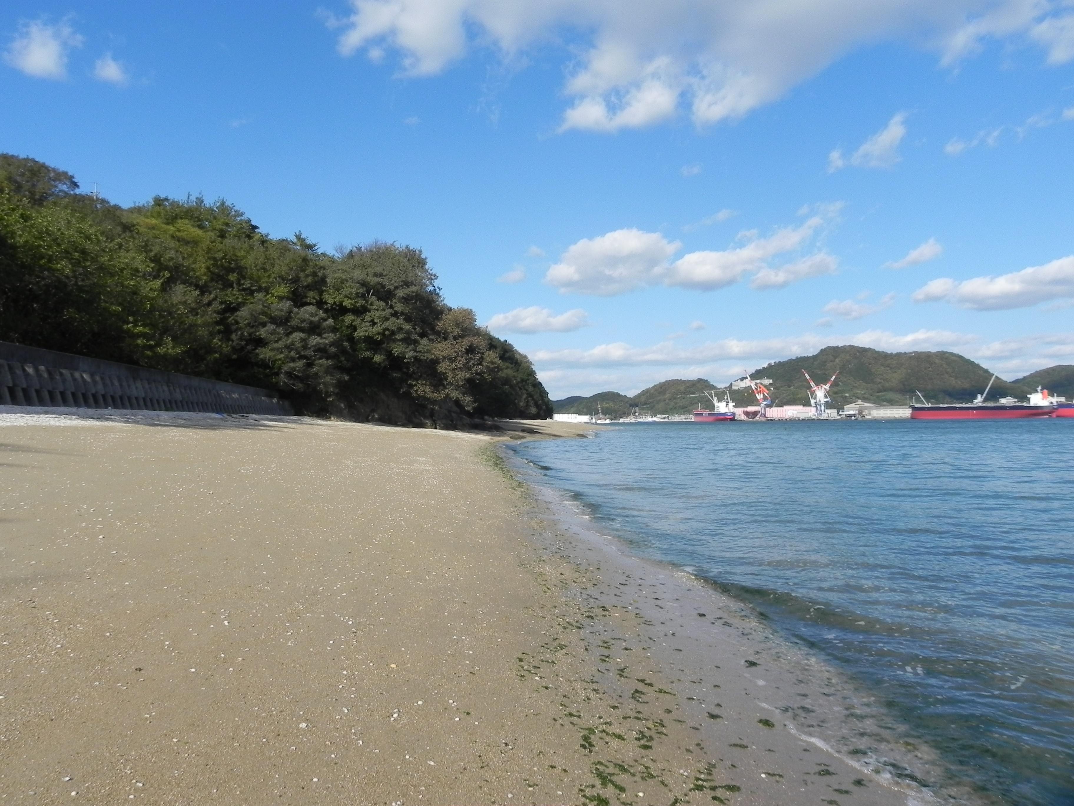 百島の砂浜の写真