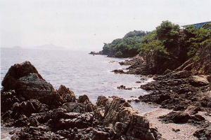 海食崖や岩礁帯と砂礫浜が連なった海岸線の写真
