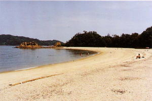 干潮時に陸続きとなる半島東端の小露岩丘陵の写真