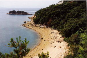 不規則に突出した岩礁や海食崖と鍋島の写真