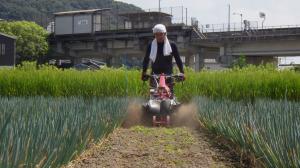 除草・土寄せ