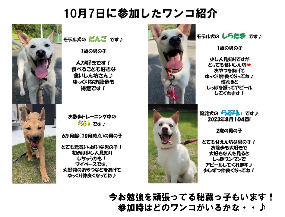 お散歩
