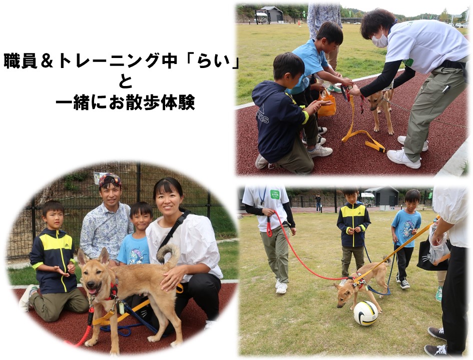 お散歩３