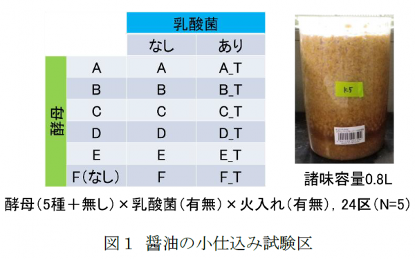 図１醤油の小仕込み試験区