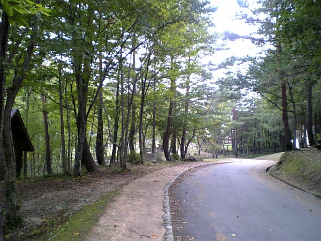 牛小屋高原