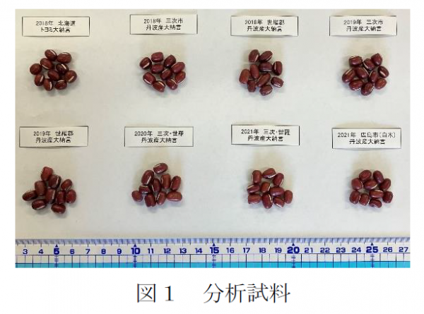 図１分析試料