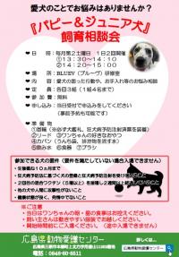 パピー＆ジュニア犬